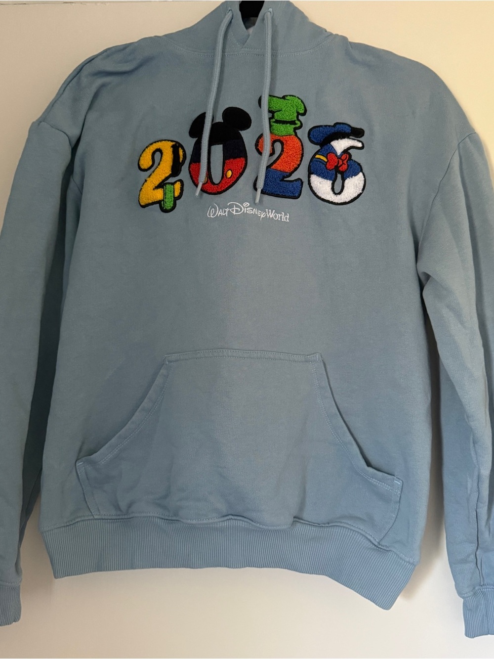 Disney Walt Disney World Light Blue 2026 Embroidered Hoodie Sweatshirt